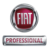 Fiat Pro Logo