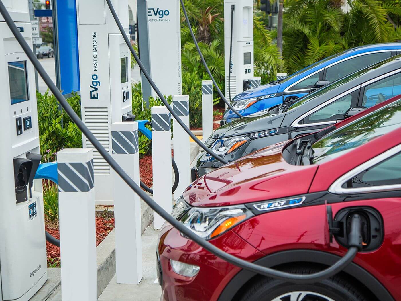 Photo showing a row of cars charging
