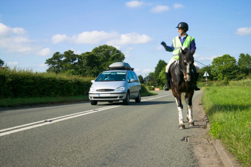 Driver overtaking a horse